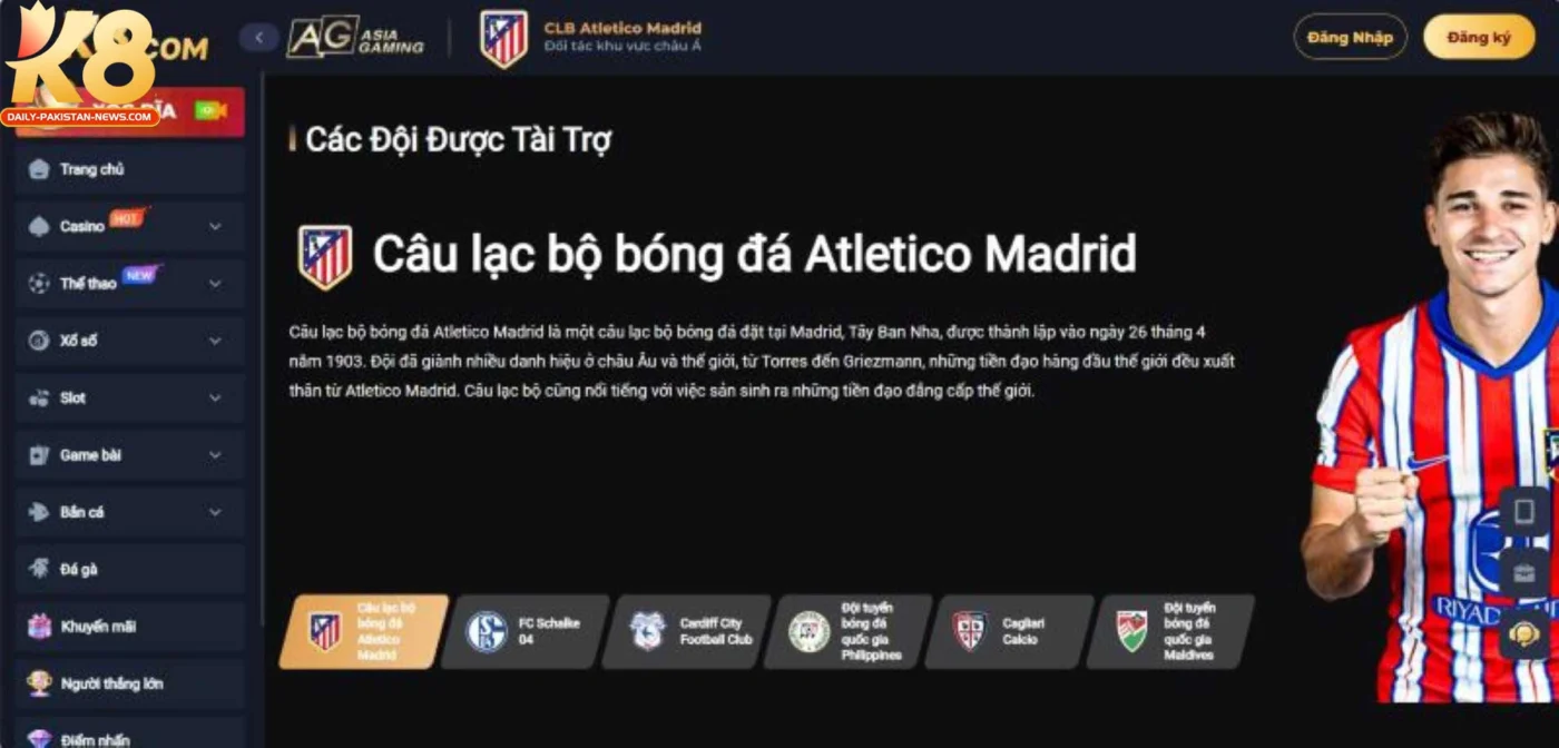 doi-tac-dang-duoc-tai-tro